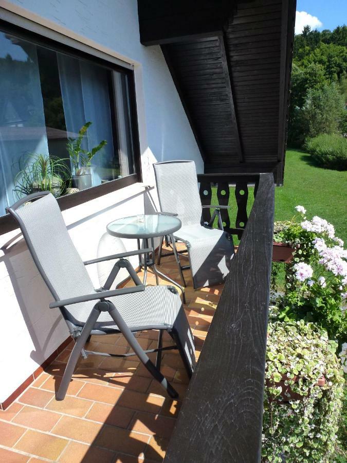 Ferienwohnungen Finke Frankenau Exteriör bild