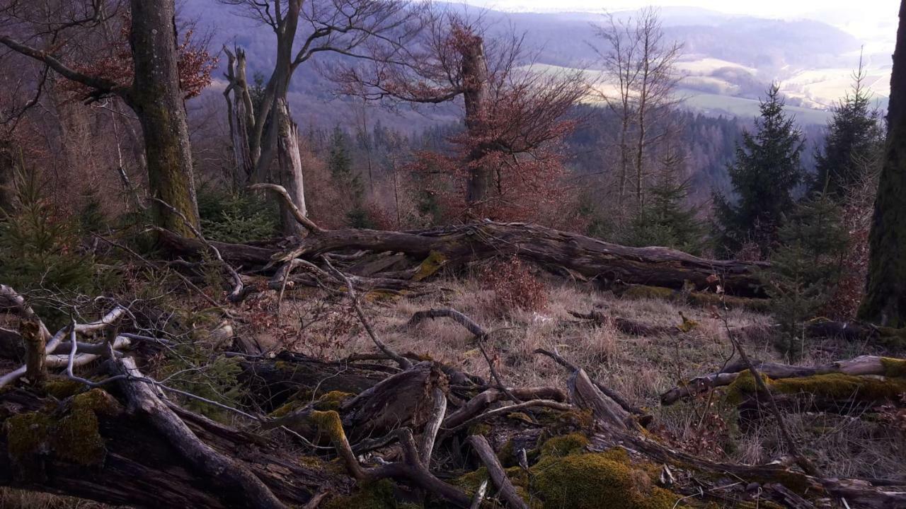 Ferienwohnungen Finke Frankenau Exteriör bild