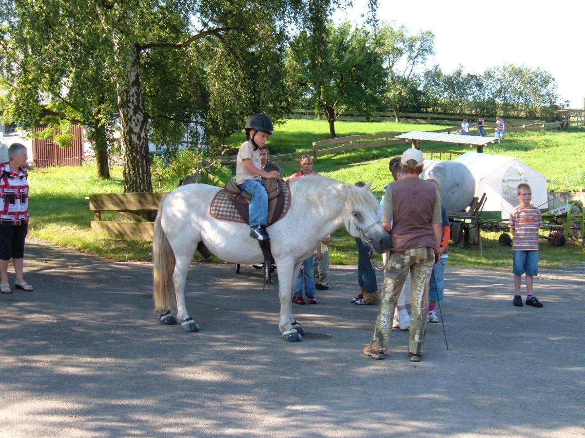 Ferienwohnungen Finke Frankenau Exteriör bild