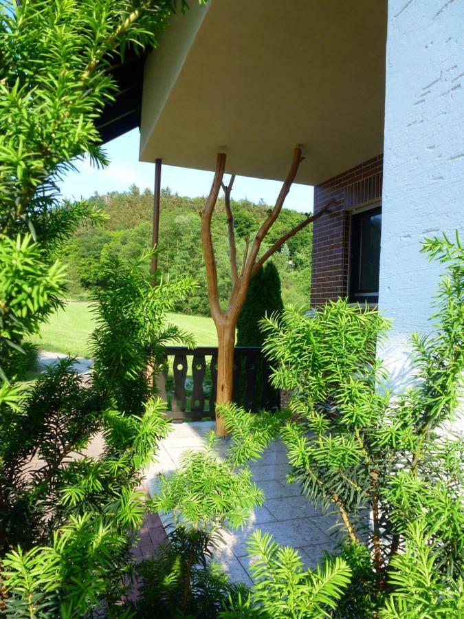 Ferienwohnungen Finke Frankenau Exteriör bild