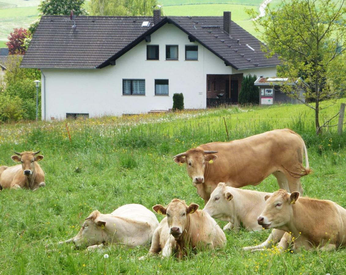 Ferienwohnungen Finke Frankenau Exteriör bild