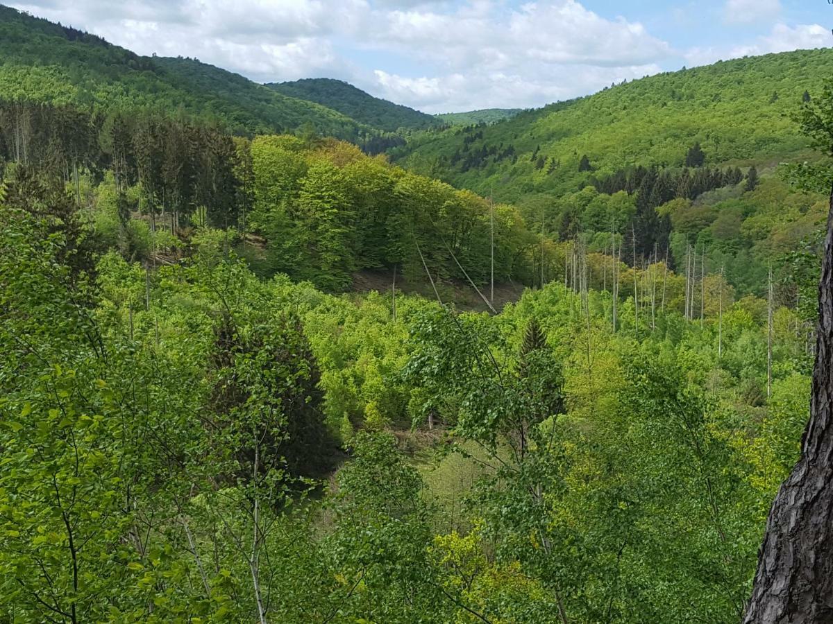 Ferienwohnungen Finke Frankenau Exteriör bild