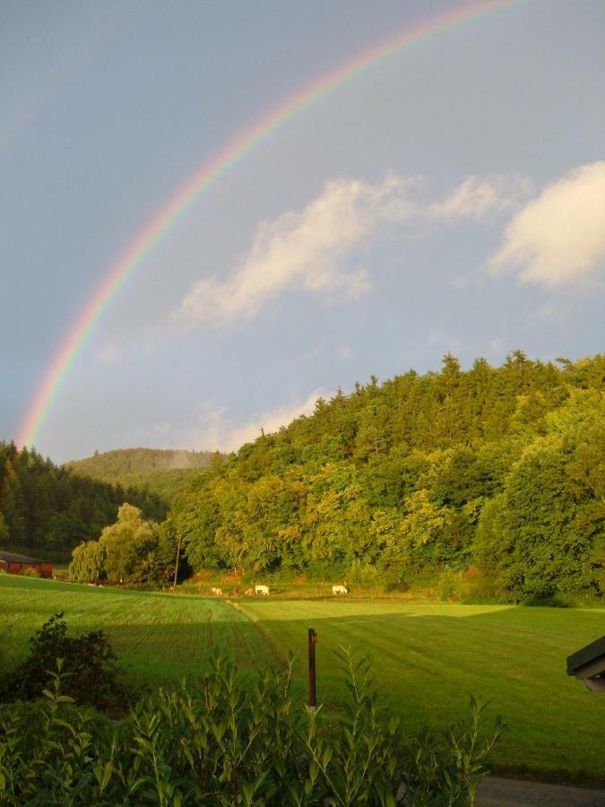Ferienwohnungen Finke Frankenau Exteriör bild